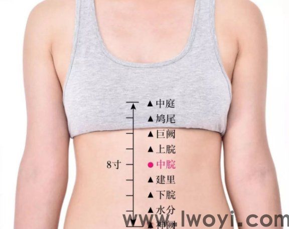 精油經絡 調理脾胃又能輕松減肥
