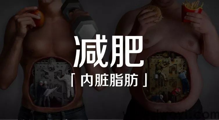 芳香療法減肥,一定要從整體療愈的視角出發